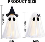 Light Up Halloween Ghost Decorations